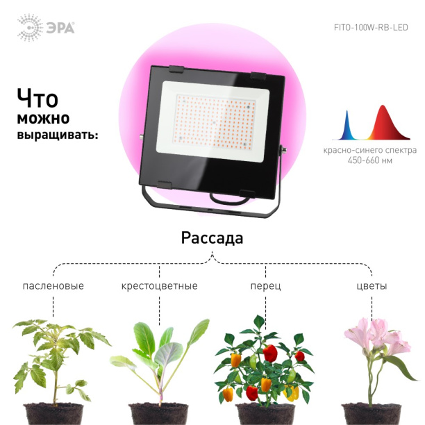 Фитопрожектор для растений Эра 100 Вт LED красно-синий спектр от магазина ЛесКонПром.ру