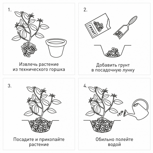 Грунт для вересковых растений прессованный Робин Грин 25 л от магазина ЛесКонПром.ру