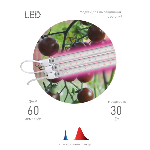 Светильник модульный для растений Эра 30 Вт LED красно-синий спектр от магазина ЛесКонПром.ру