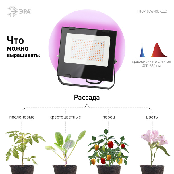 Фитопрожектор для растений Эра 50 Вт LED красно-синий спектр от магазина ЛесКонПром.ру